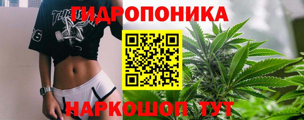 Каннабис план Аксай